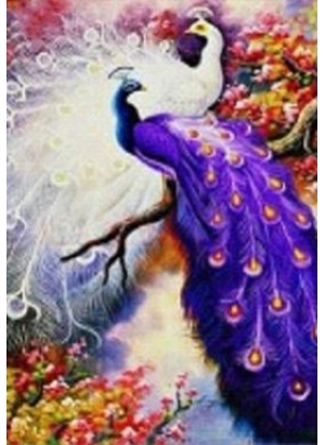 GLD60700_O Алмазна мозаїка 30*40см 