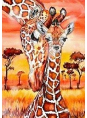 GLD60719_O Алмазна мозаїка 30*40см 