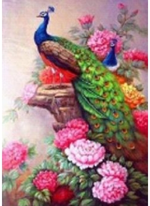 GLD60735_O Алмазна мозаїка 30*40см 