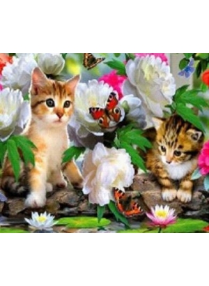 GLD60895_O Алмазна мозаїка 30*40см 