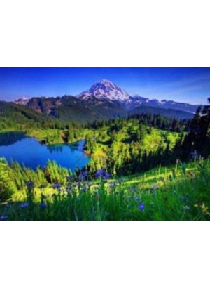 GLD60898_O Алмазна мозаїка 30*40см 