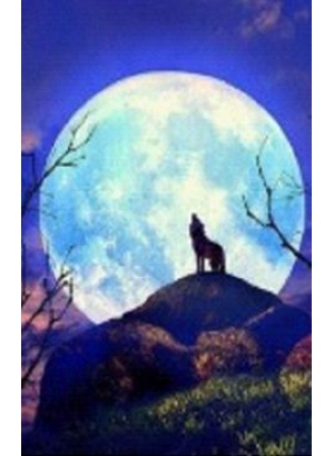 GLD60923_O Алмазна мозаїка 30*40см 