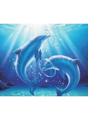 GLD60942_O Алмазна мозаїка 30*40см 