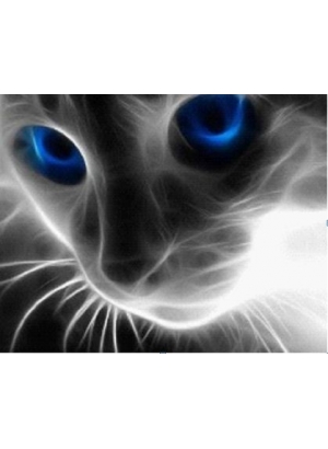 GLD60971_O Алмазна мозаїка 30*40см 