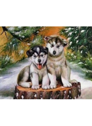 GLD60982_O Алмазна мозаїка 30*40см 