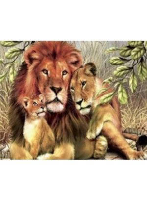 GLD61113_O Алмазна мозаїка 30*40см 