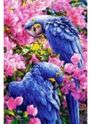 GLD61114_O Алмазна мозаїка 30*40см 