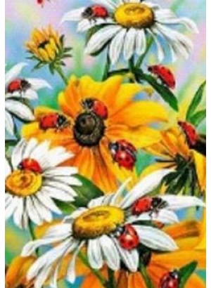 GLD61243_O Алмазна мозаїка 30*40см 