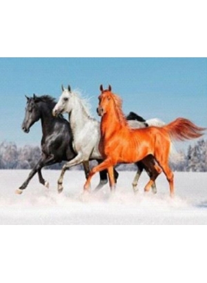 GLD61251_O Алмазна мозаїка 30*40см 