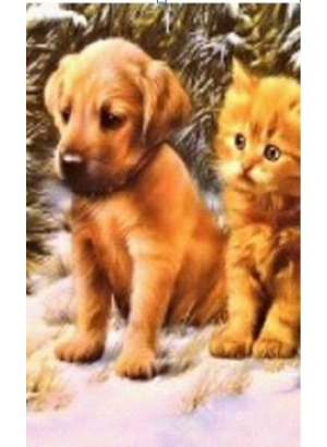 GLD61262_O Алмазна мозаїка 30*40см  