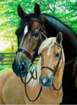 GLD61315_O Алмазна мозаїка 30*40см 