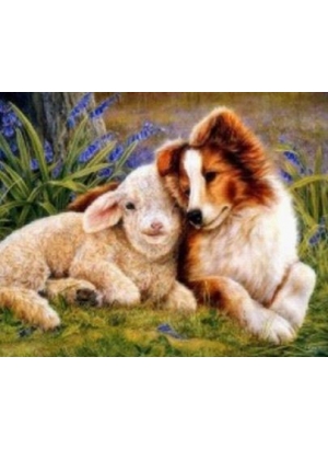 GLD61368_O Алмазна мозаїка 30*40см  