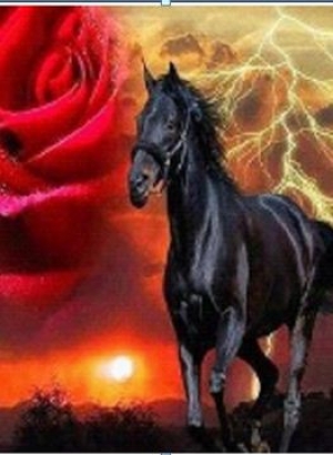 GLD61446_O Алмазна мозаїка 30*40см 