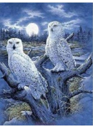 GLD61464_O Алмазна мозаїка 30*40см 