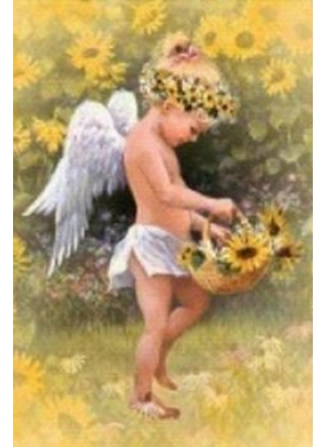 GLD61474_O Алмазна мозаїка 30*40см 