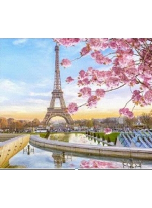 GLD61508_O Алмазна мозаїка 30*40см 