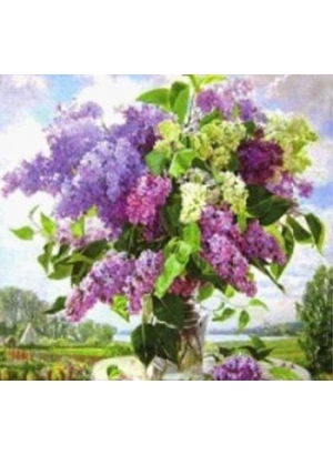 GLD61516_O Алмазна мозаїка 30*40см 