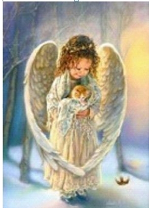 GLD61553_O Алмазна мозаїка 30*40см 