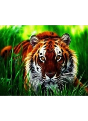 GLD61558_O Алмазна мозаїка 30*40см 