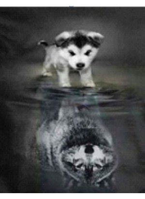 GLD61567_O Алмазна мозаїка 30*40см 