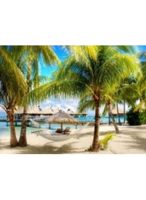 GLD61574_O Алмазна мозаїка 30*40см 