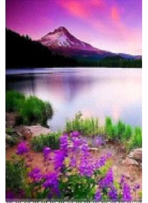 GLD61577_O Алмазна мозаїка 30*40см 