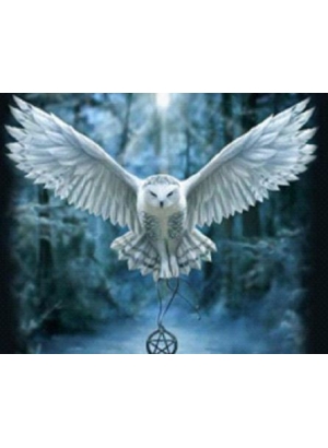 GLD61579_O Алмазна мозаїка 30*40см 