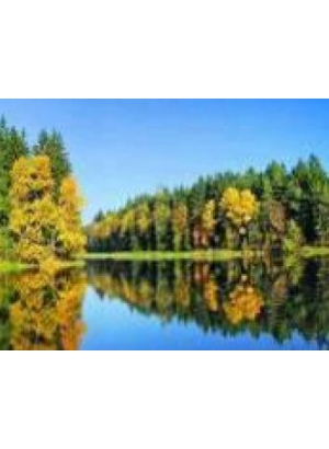 GLD60593 - GB70015_O Алмазна мозаїка 30*40см 