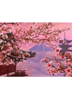 GLD60606 - GB70039_O Алмазна мозаїка 30*40см 