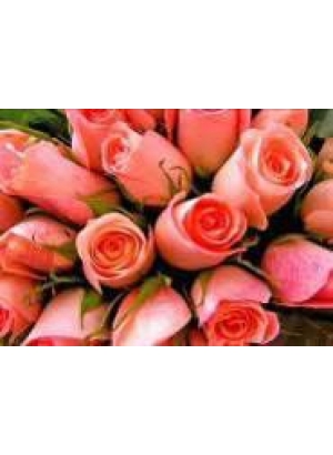 GLD60406 - GB70068_O Алмазна мозаїка 30*40см 