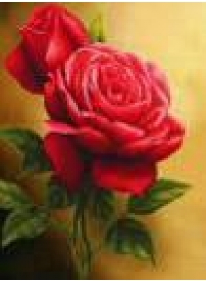 GLD60653 - GB70194_O Алмазна мозаїка 30*40см 