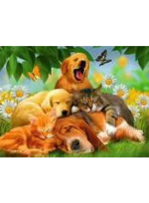 GLD60670 - GB70234_O Алмазна мозаїка 30*40см 