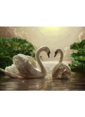 GLD60686 - GB70288_O Алмазна мозаїка 30*40см 