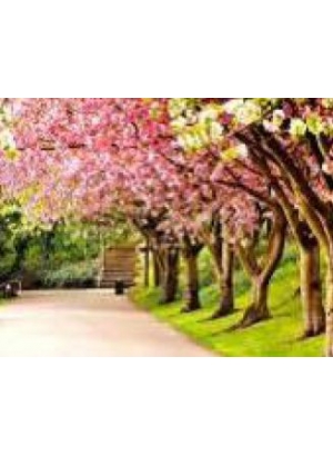 GLD60687 - GB70296_O Алмазна мозаїка 30*40см 