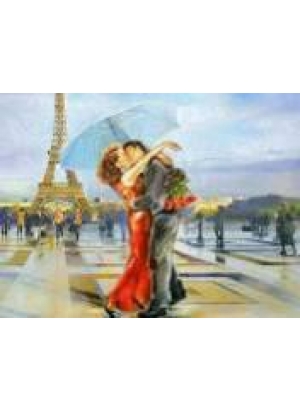 GLD60696 - GB70310_O Алмазна мозаїка 30*40см 