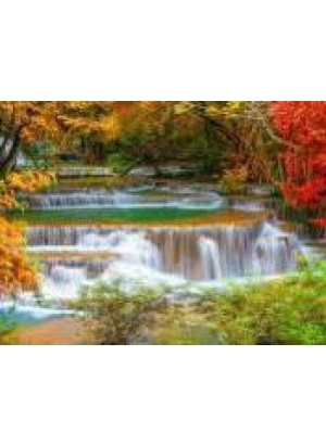 GLD60731 - GB70444_O Алмазна мозаїка 30*40см 