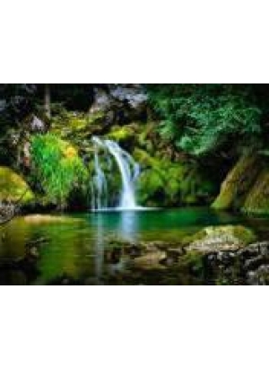 GLD60738 - GB70445_O Алмазна мозаїка 30*40см 