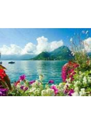 GLD60740 - GB70454_O Алмазна мозаїка 30*40см 