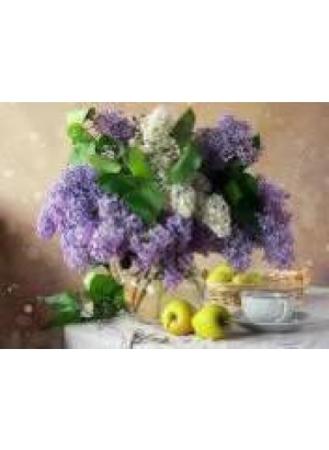 GLD60362 - GB70503_O Алмазна мозаїка 30*40см 