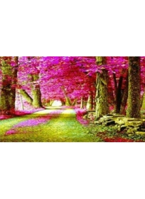 GLD60757 - GB70594_O Алмазна мозаїка 30*40см 