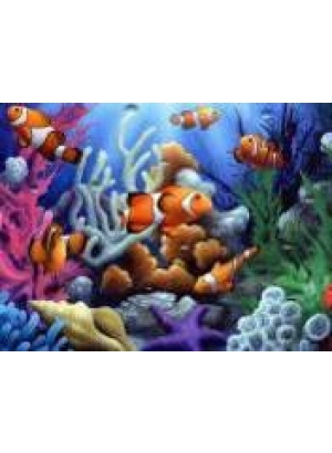 GLD60766 - GB70654_O Алмазна мозаїка 30*40см 