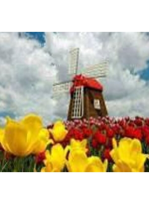 GLD60774 - GB70704_O Алмазна мозаїка 30*40см 