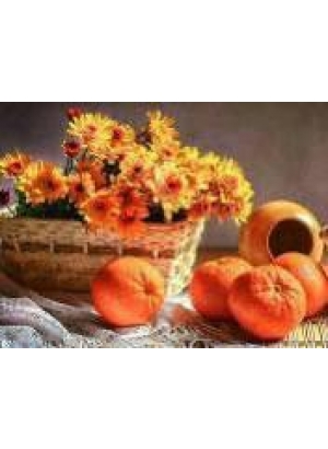 GLD60276 - GB70766_O Алмазна мозаїка 30*40см 