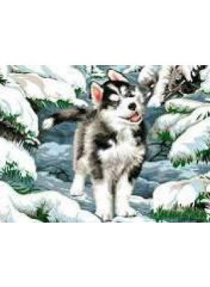 GLD60788 - GB70839_O Алмазна мозаїка 30*40см 