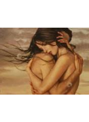 GLD60800 - GB71002_O Алмазна мозаїка 30*40см 