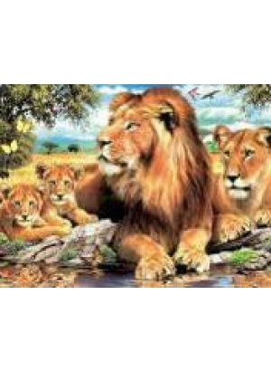 GLD60799 - GB71004_O Алмазна мозаїка 30*40см 