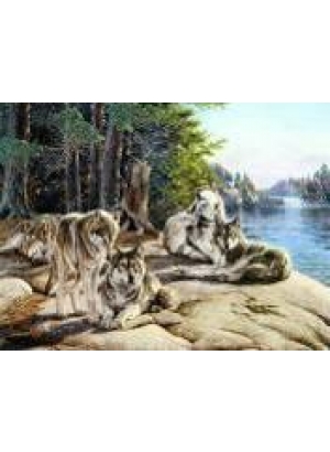 GLD60801 - GB71015_O Алмазна мозаїка 30*40см 