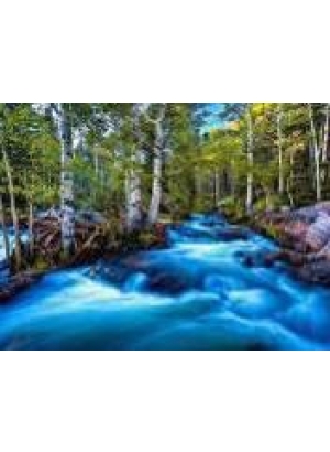 GLD60821 - GB71725_O Алмазна мозаїка 30*40см 