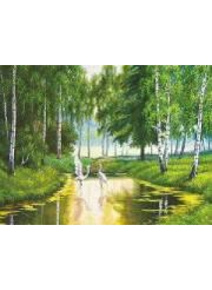 GLD60585 - GB71824_O Алмазна мозаїка 30*40см 