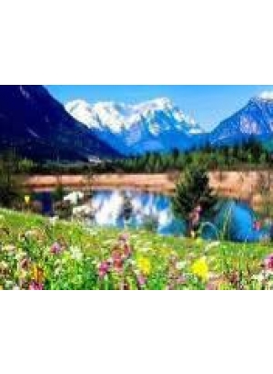 GLD60824 - GB71893_O Алмазна мозаїка 30*40см 